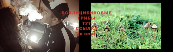 ALPHA PVP Богородицк