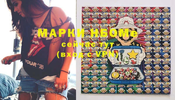 молекула духа Бородино