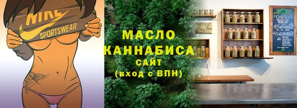 молекула духа Бородино