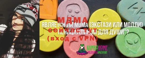 молекула духа Бородино