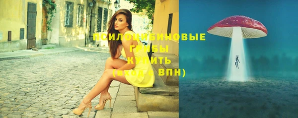 молекула духа Бородино