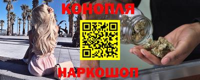 шишки Братск