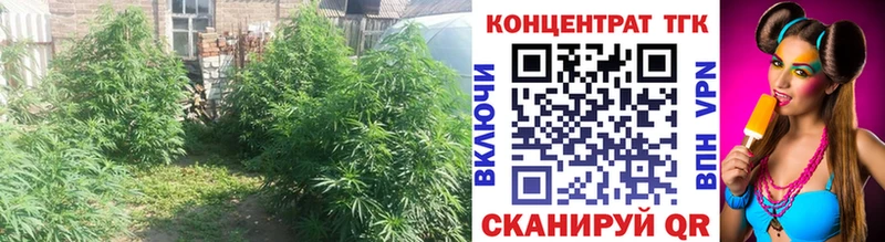 где продают наркотики  Верхний Уфалей  shop официальный сайт  ТГК концентрат 