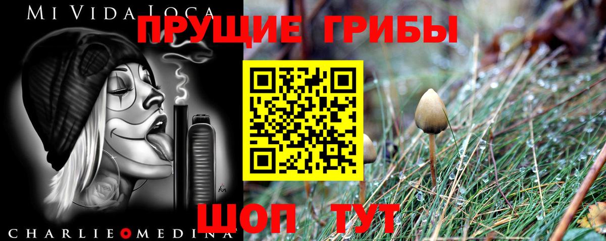 Верхний Уфалей  Галлюциногенные грибы MAGIC MUSHROOMS  Вход с VPN 